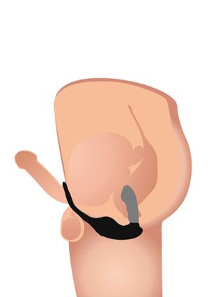 7X Milking & Vibrating Prostate Stimulator + Harness - Afbeelding 6