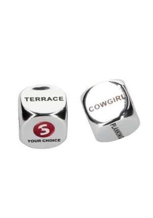 Sex Dice - Silver - Afbeelding 1