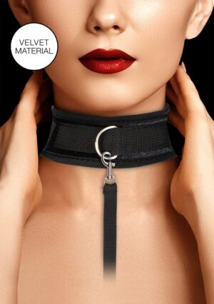V&V Adjustable Collar with Leash - Afbeelding 1