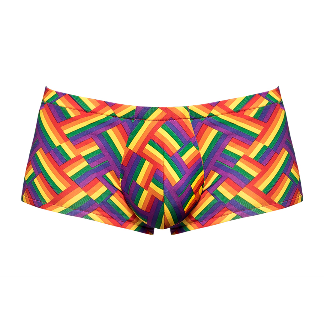 Pride Fest - Mini Short - S - Pride