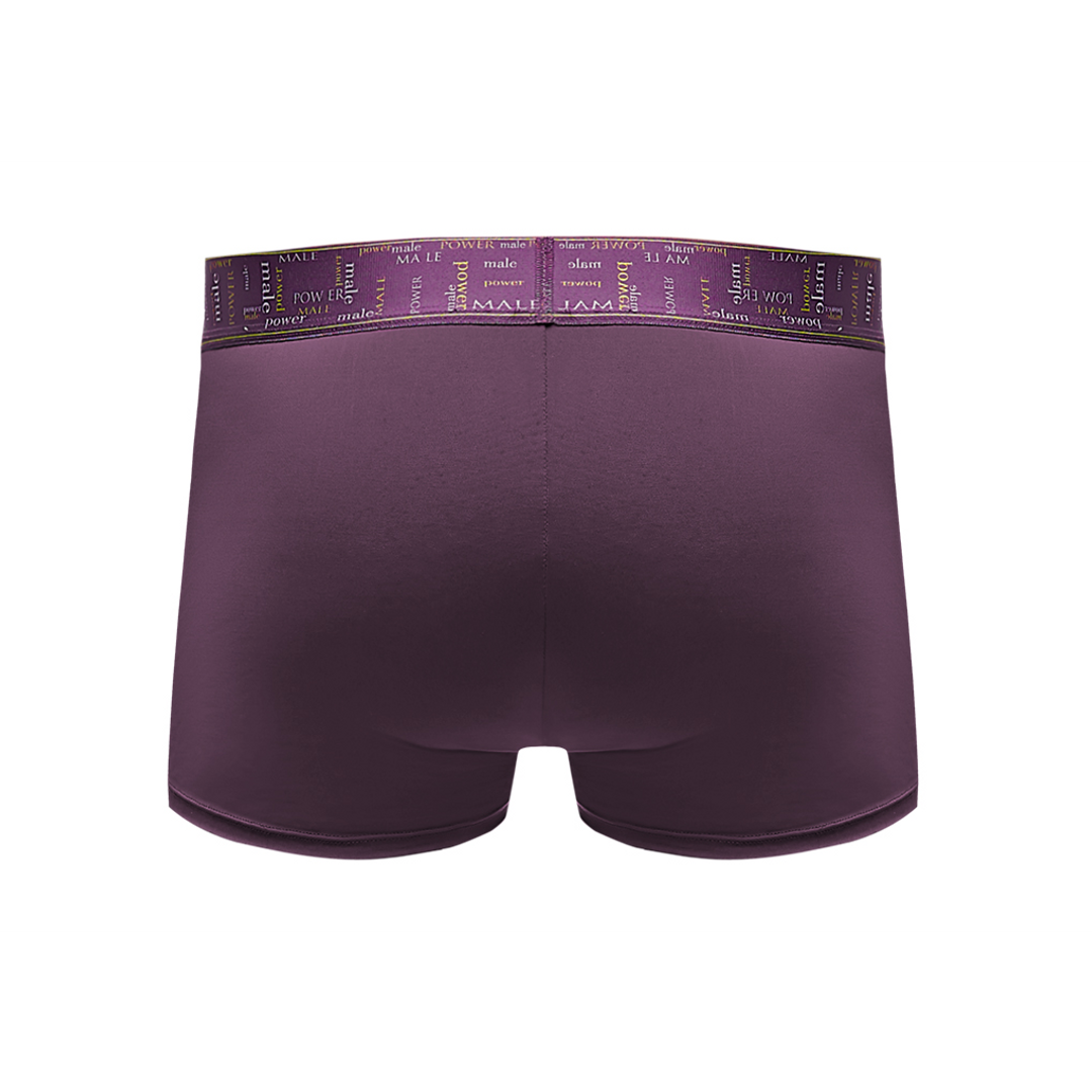 Avant-Garde - Enhancer Short - M - Aubergine