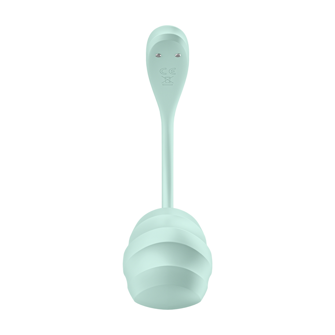 Satisfyer - Smooth Petal Connect App - Draagbare Paar Vibrator - Mint