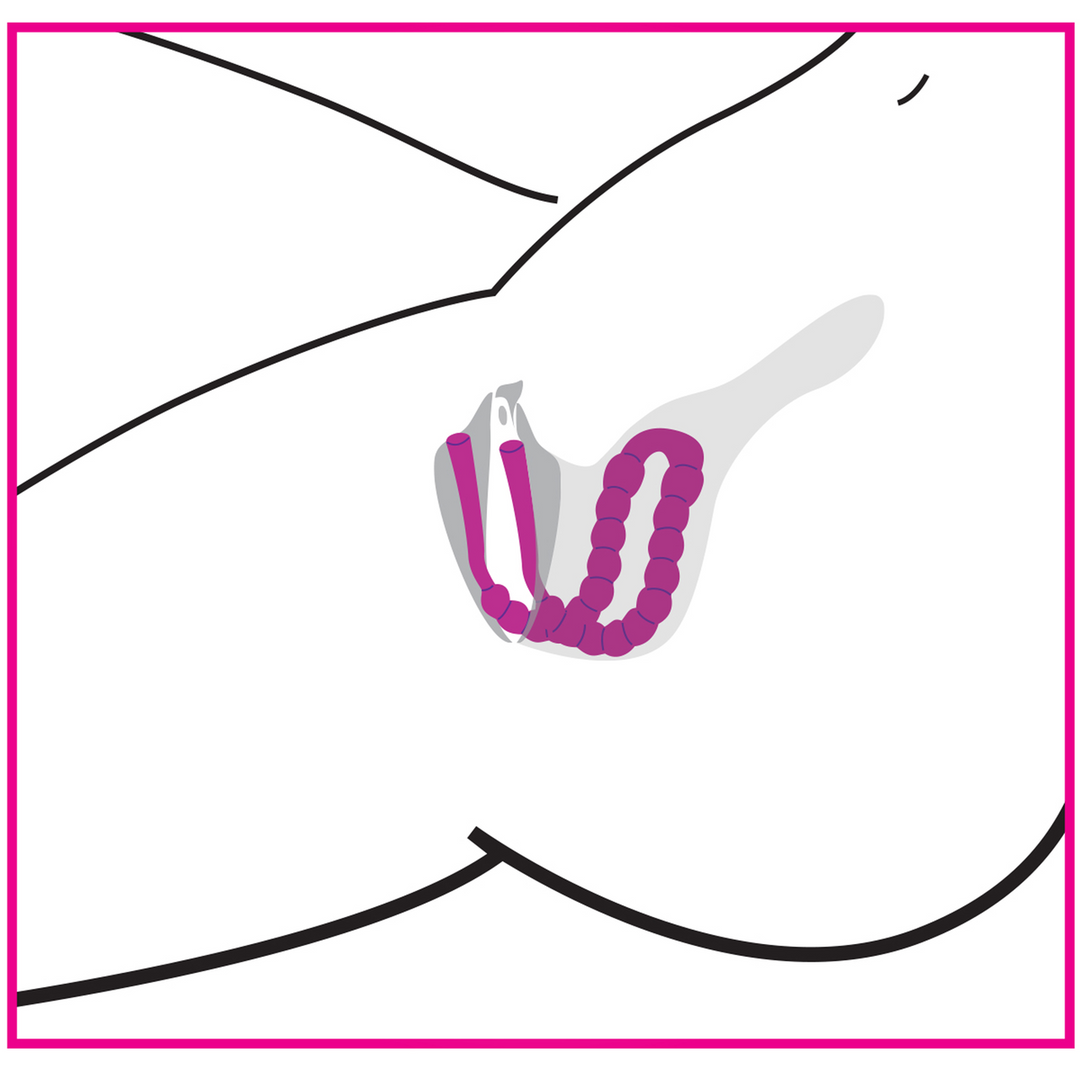 Frisky - Petal Pusher - Siliconen Labia Spreader