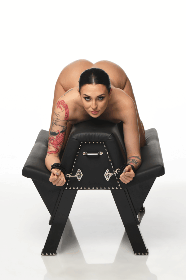 Master Series - Bareback - Submission Horse - Zwart