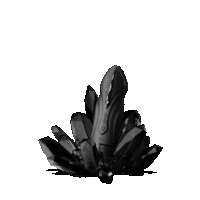 Zalo - Sesh - Obsidian Zwart
