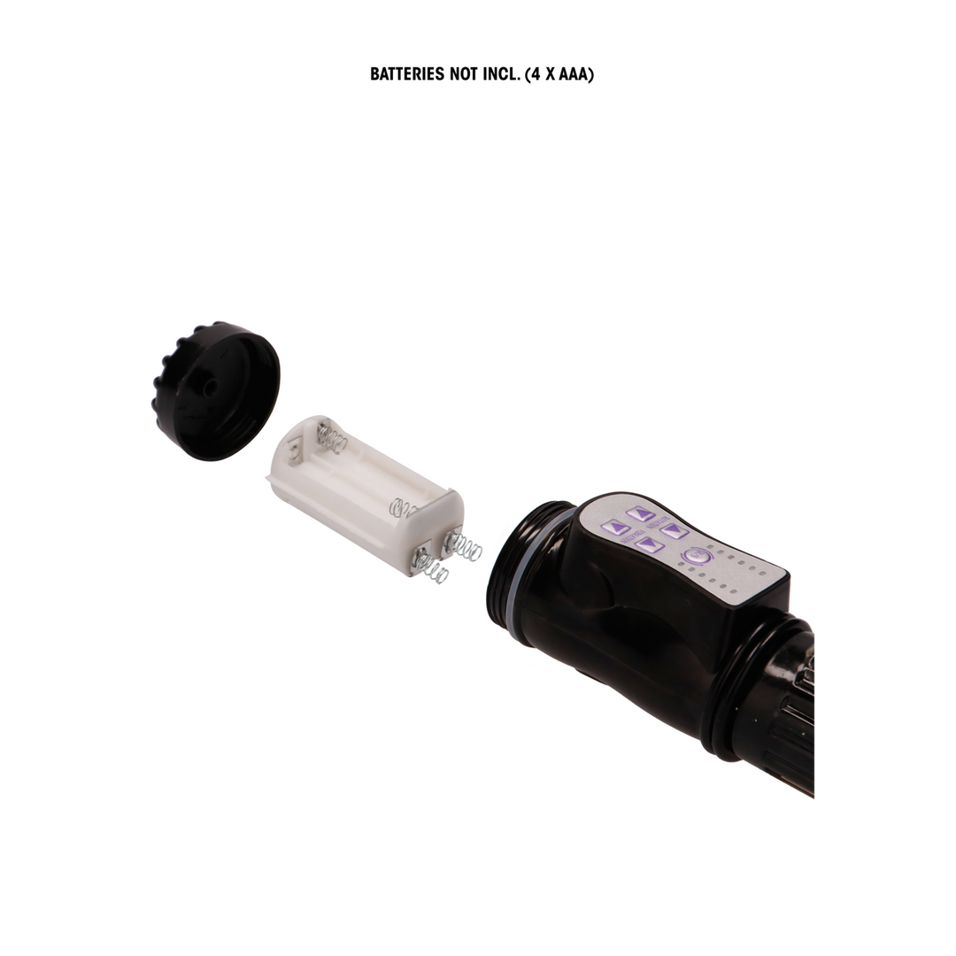 GC  - Vibrerende Dolfijn