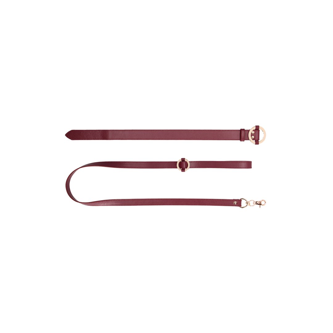 Luxe Halsband met Leash